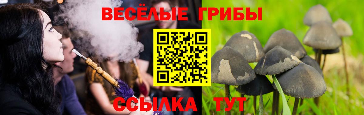 Галлюциногенные грибы мухоморы  Вход с VPN  Советская Гавань 